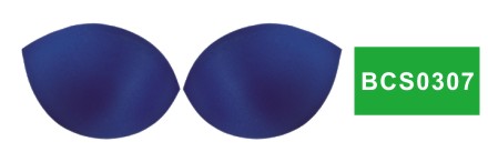 BCS0307
